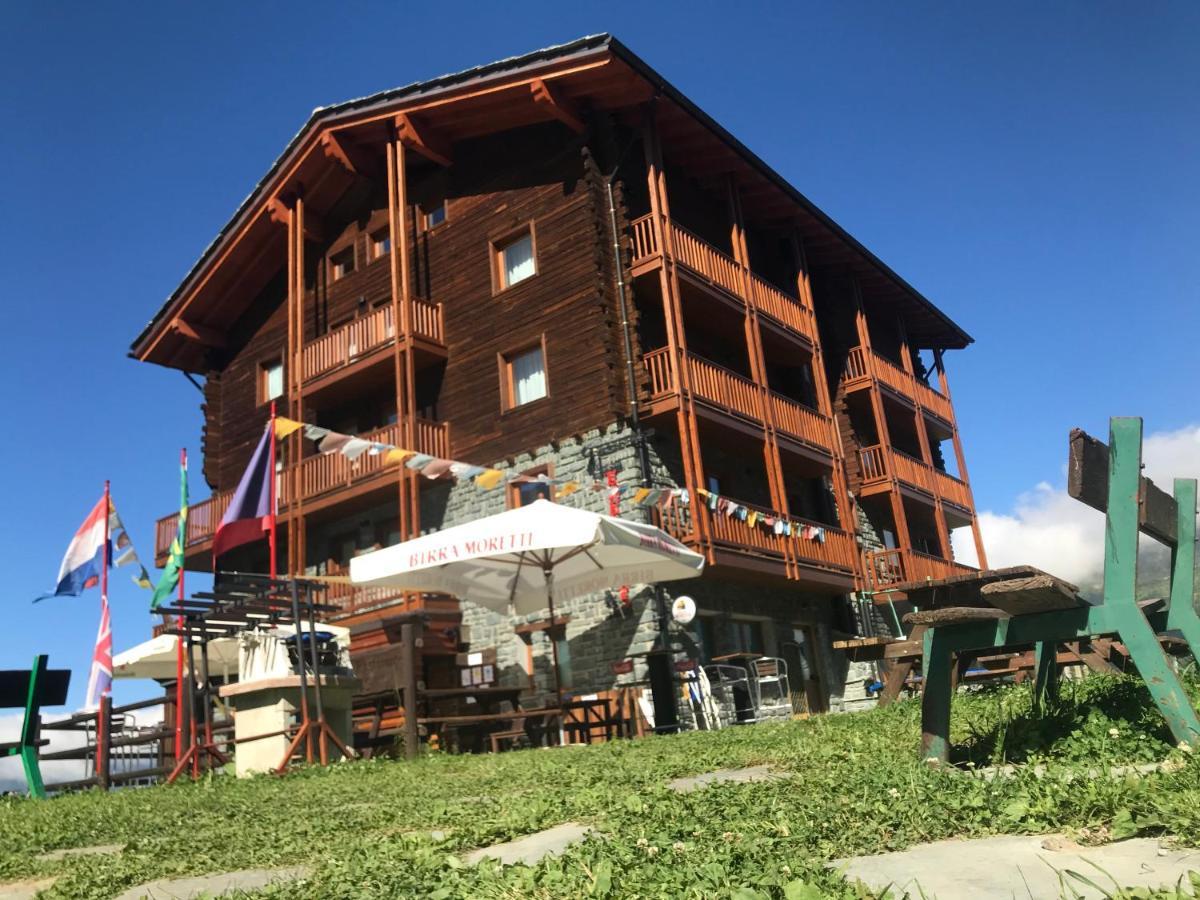 Edelweiss Champoluc